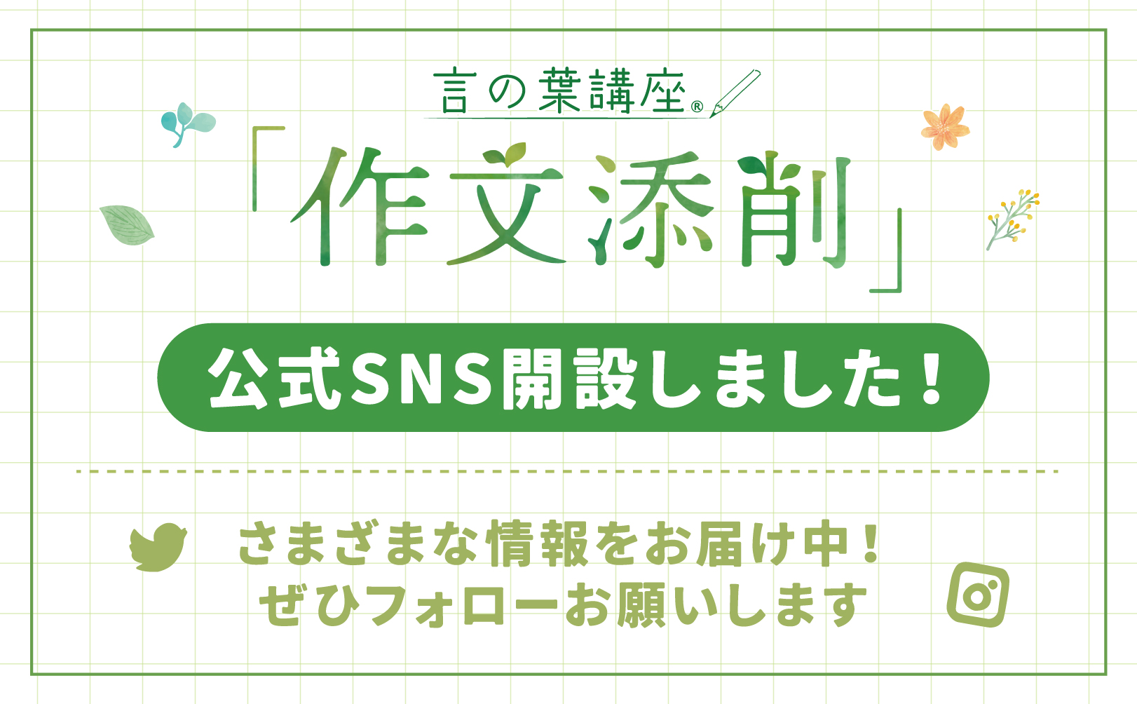 公式Instagramのお知らせです! 公式Instagramのお知らせです!